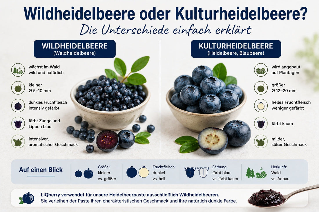 🍓 Beerenwissen: Wildheidelbeere oder Kulturheidelbeere – was ist der Unterschied?