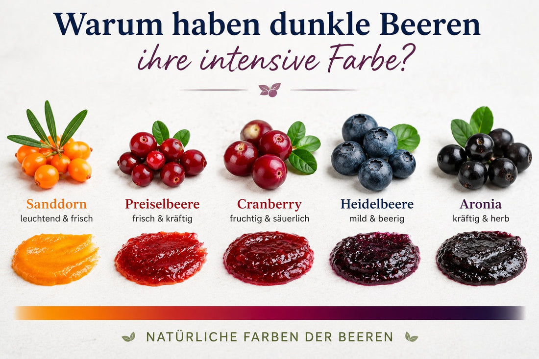 🍓 Beerenwissen: Warum haben dunkle Beeren ihre intensive Farbe?
