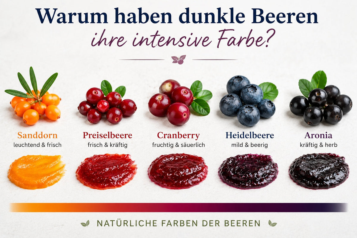 🍓 Beerenwissen: Warum haben dunkle Beeren ihre intensive Farbe?
