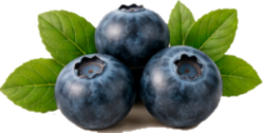 Dekorative Beeren