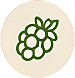 Charakter der Beere Icon