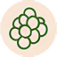 Vorteil Icon