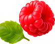 Dekorative Beeren