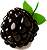 Beere Icon
