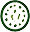 Sanddorn Icon