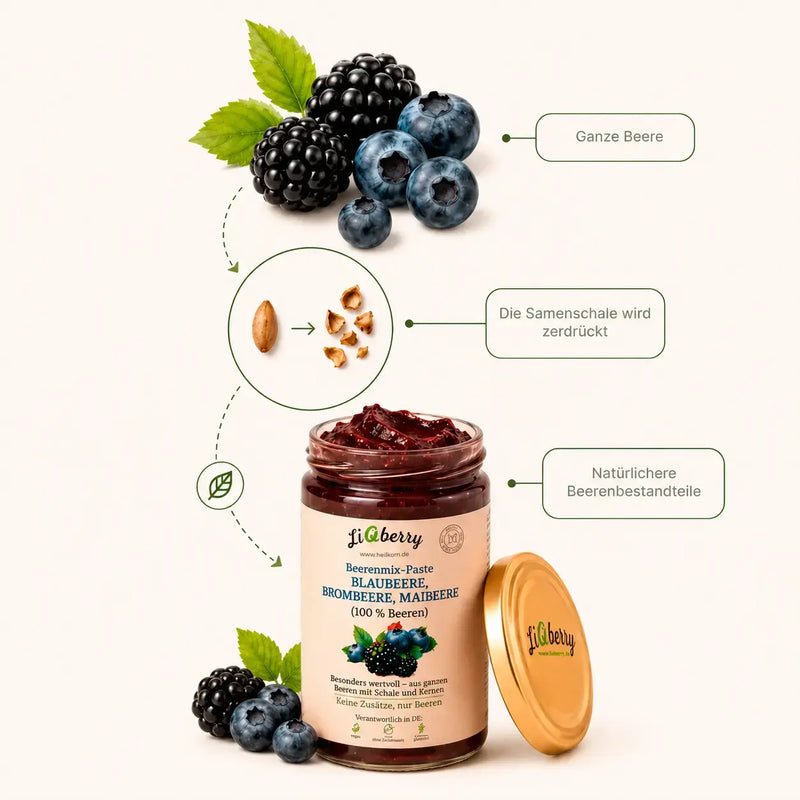 LiqBerry Beerenpaste Technologie