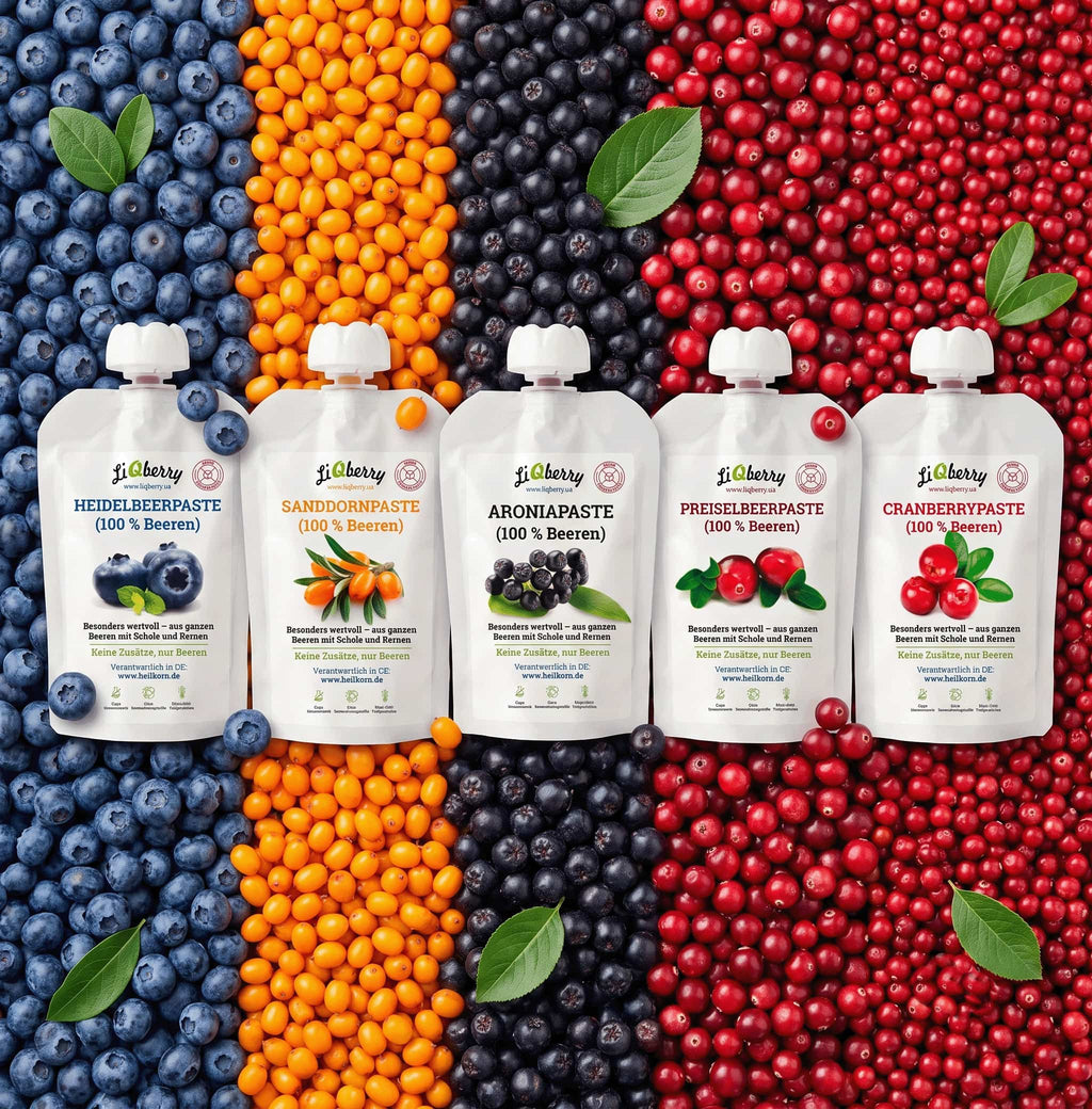 5er-PROBIERPAKET Beeren-Paste 5x100g | LiQberry