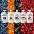 5er-PROBIERPAKET Beeren-Paste 5x100g | LiQberry