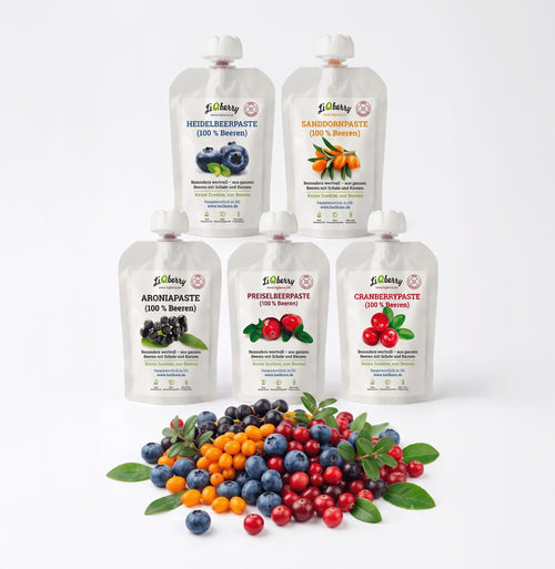 5er-PROBIERPAKET Beeren-Paste 5x100g | LiQberry